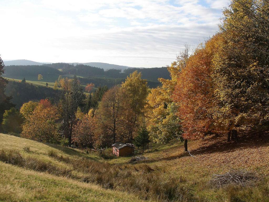 Апартаменти Haus Antonis Triberg im Schwarzwald Екстер'єр фото