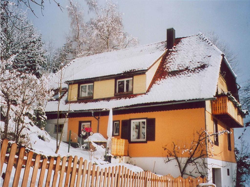 Апартаменти Haus Antonis Triberg im Schwarzwald Екстер'єр фото