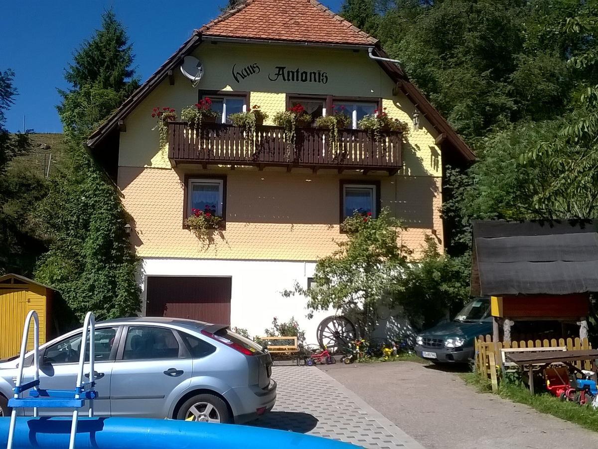 Апартаменти Haus Antonis Triberg im Schwarzwald Екстер'єр фото