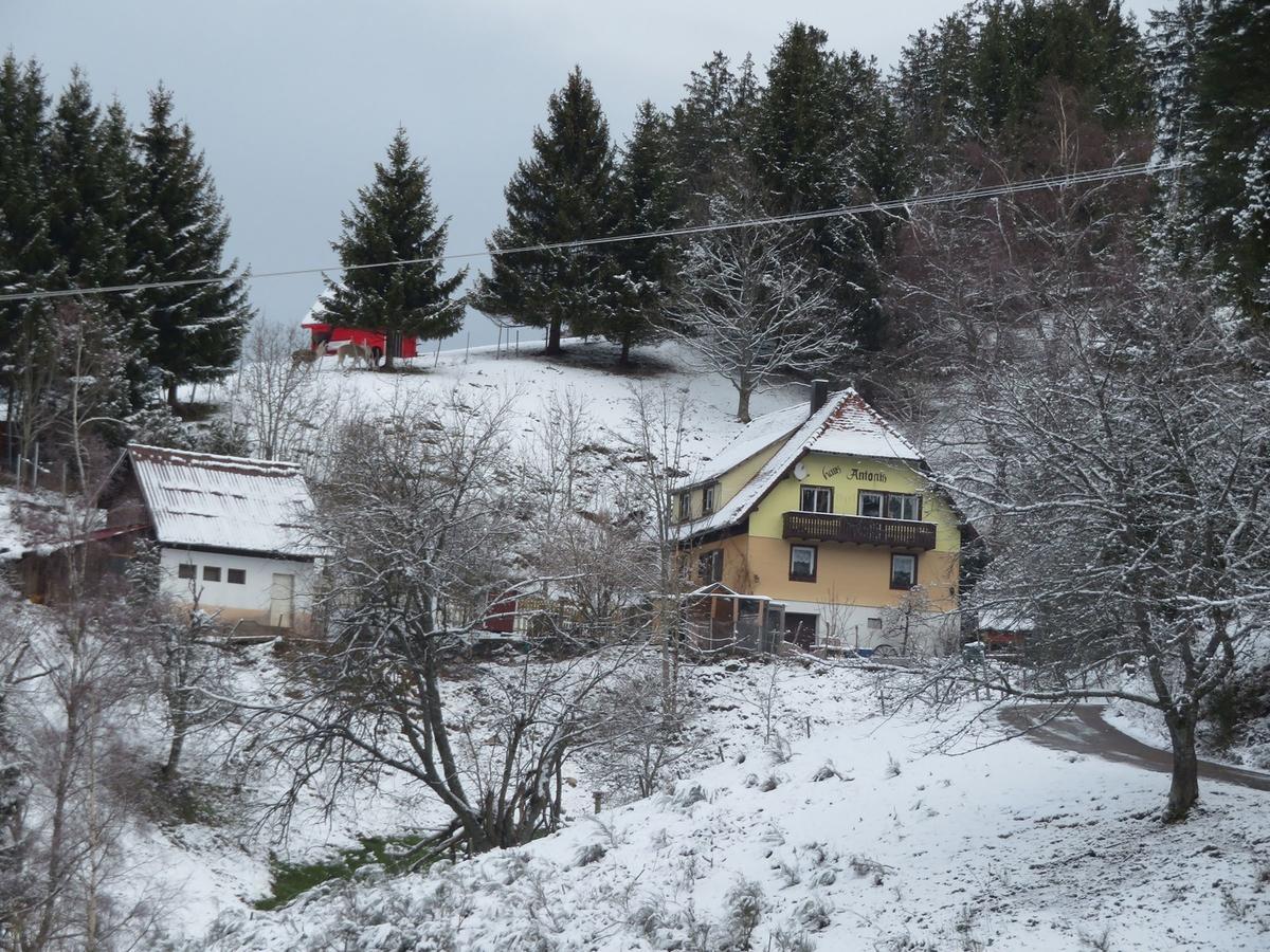 Апартаменти Haus Antonis Triberg im Schwarzwald Екстер'єр фото